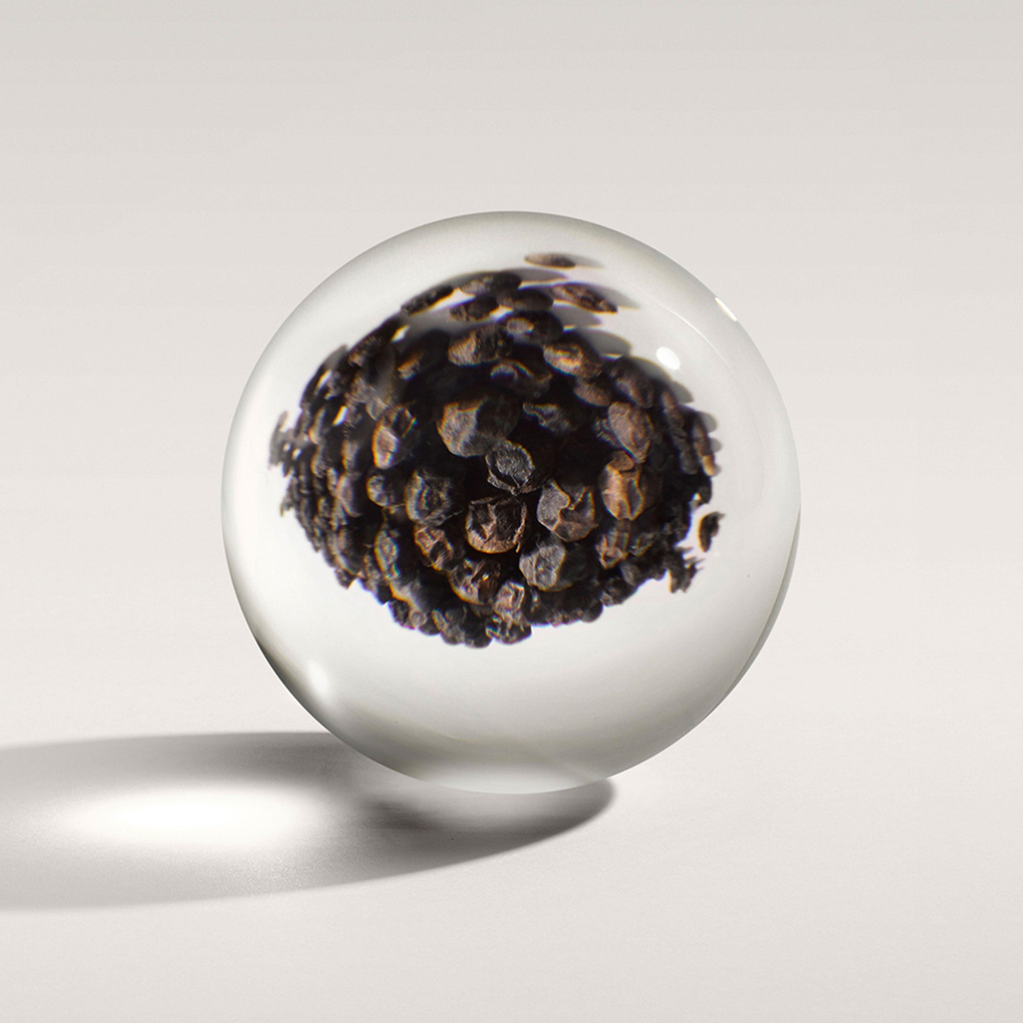 The Re-charge Black Pepper Signature Candle 190g from MoltonBrown Cyprus showcases a cluster of Madagascan black peppercorns magnified and distorted inside a transparent glass sphere, casting a soft shadow on the light surface to create an image that rejuvenates the senses.