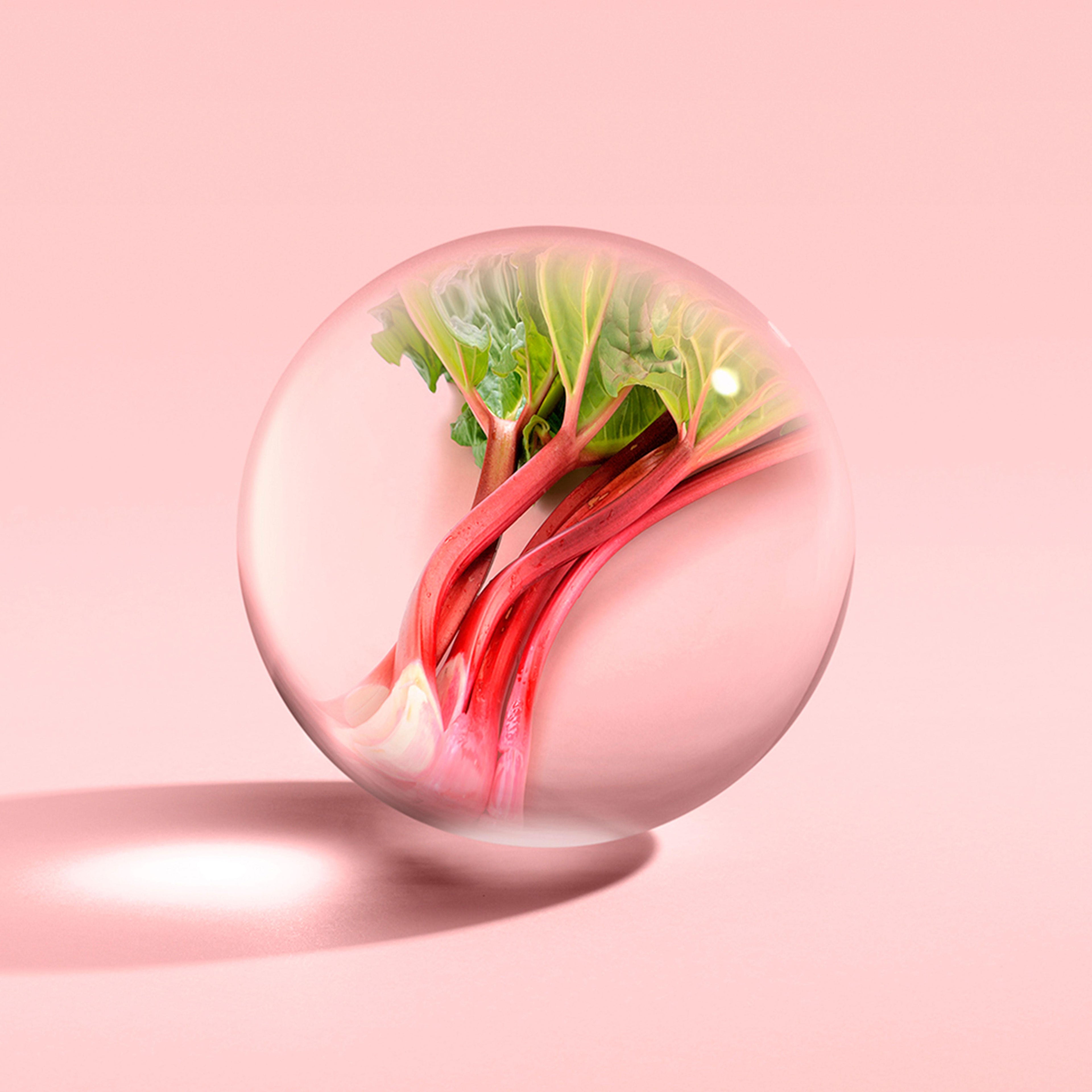 A glass orb containing the Delicious Rhubarb & Rose Signature Candle 190g from Molton Brown Cyprus showcases fresh rhubarb stems and leaves against a soft pink background, reminiscent of a floral-fruity fragrance, while casting a subtle shadow.