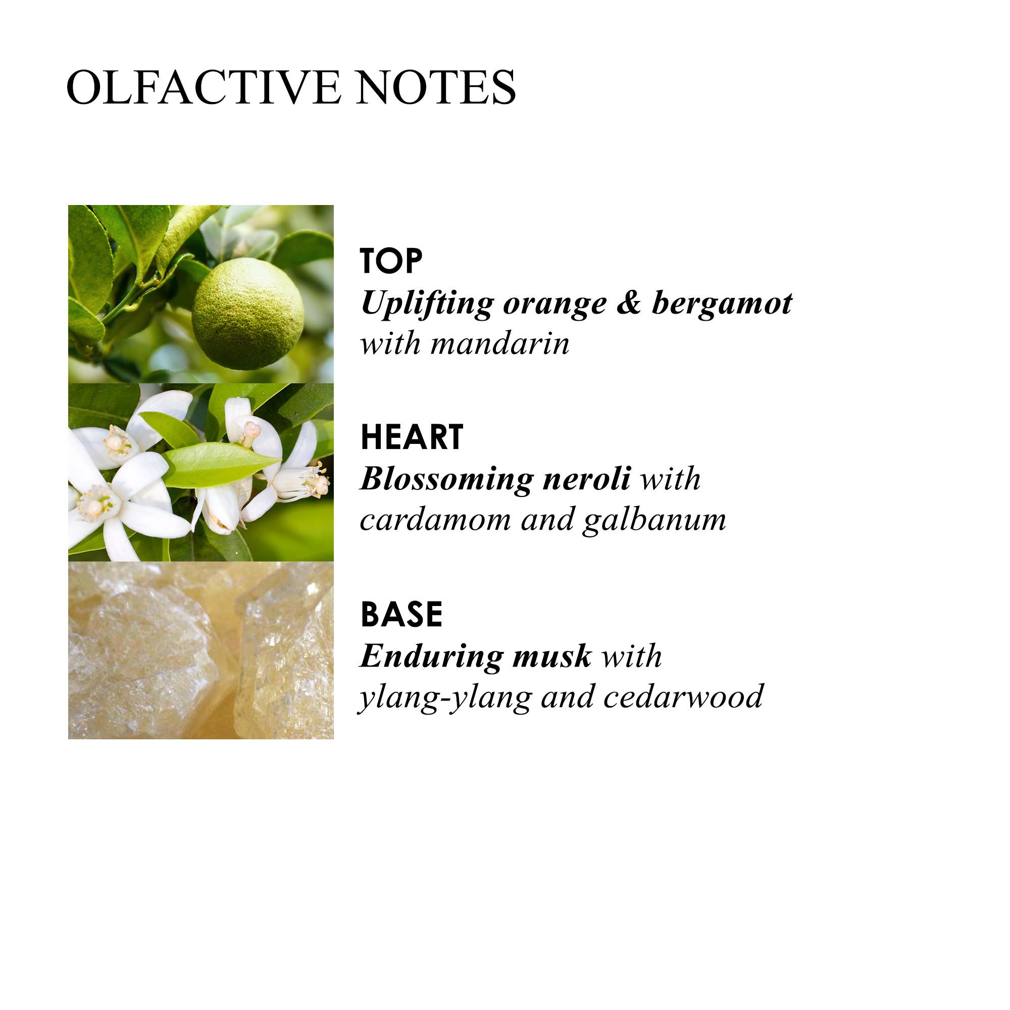 A graphic showcasing the olfactive notes features images of Sevillian orange for the citrusy top notes, white blossoms representing neroli in the heart, and a resinous texture symbolizing base notes of musk, ylang-ylang, and cedarwood—vividly capturing the essence of Molton Brown Cyprus' Orange & Bergamot Aroma Reeds Refill 150ml.