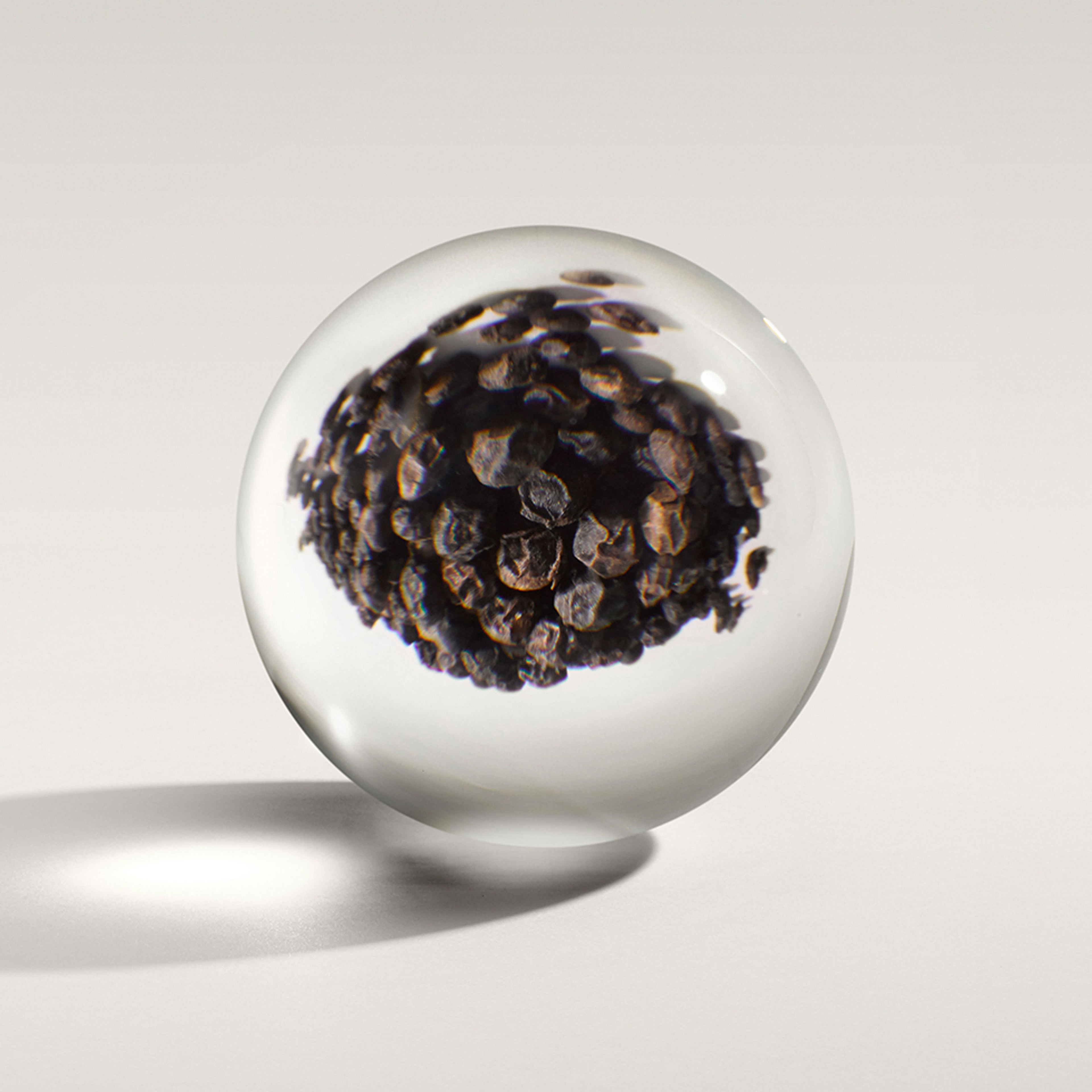 A clear glass sphere encases the Re-charge Black Pepper Aroma Reeds 150ml from MoltonBrown Cyprus, set against a plain backdrop. The arrangement evokes a woody-citrus aroma, reminiscent of a luxurious reed diffuser, while casting a gentle shadow on the surface below.