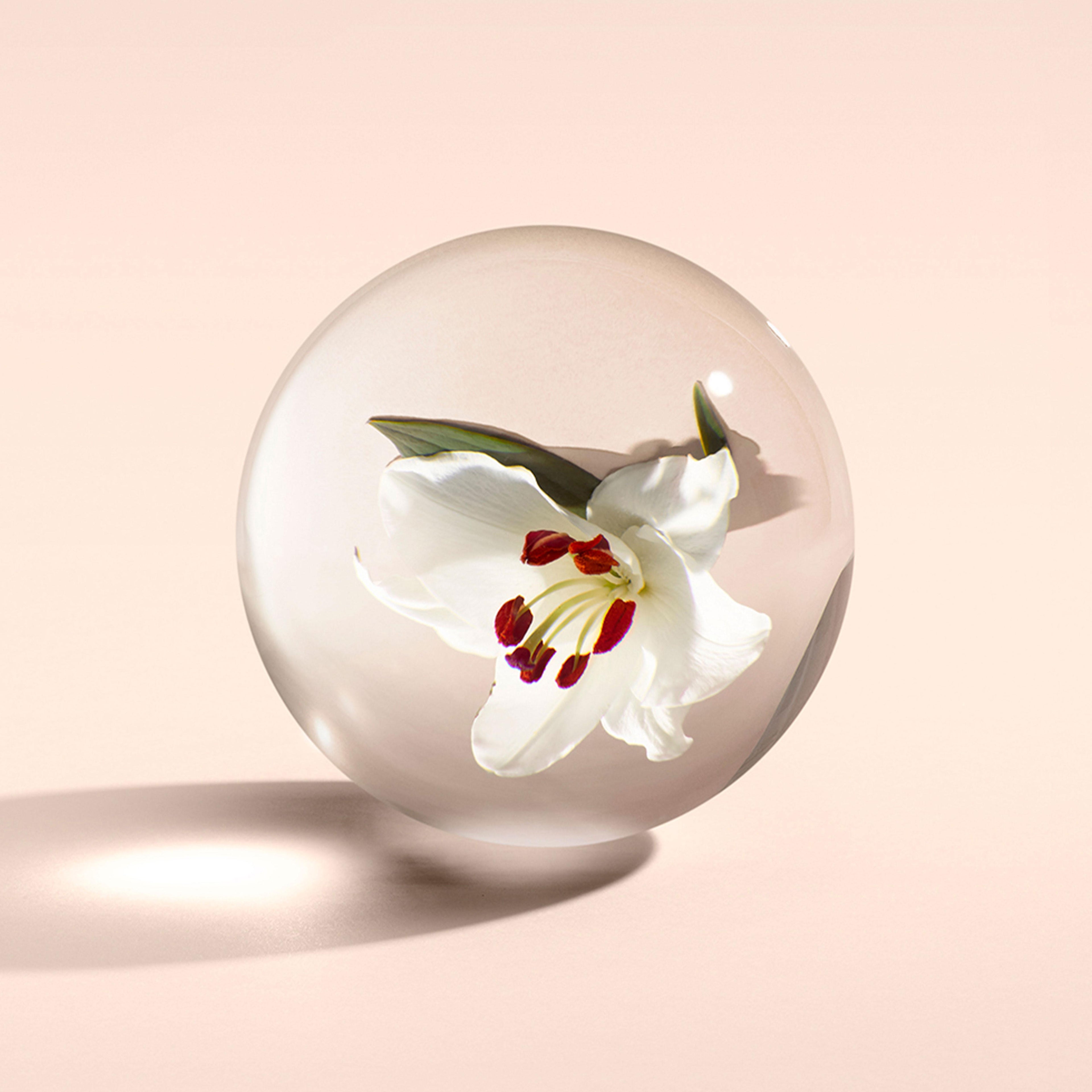 A bottle of Heavenly Gingerlily Body Lotion from MoltonBrown Cyprus, with its beautiful design and red accents, rests inside a clear glass sphere. This sphere casts a gentle shadow on a smooth, pale peach surface, reminiscent of the serene ambiance of a Polynesian lagoon.