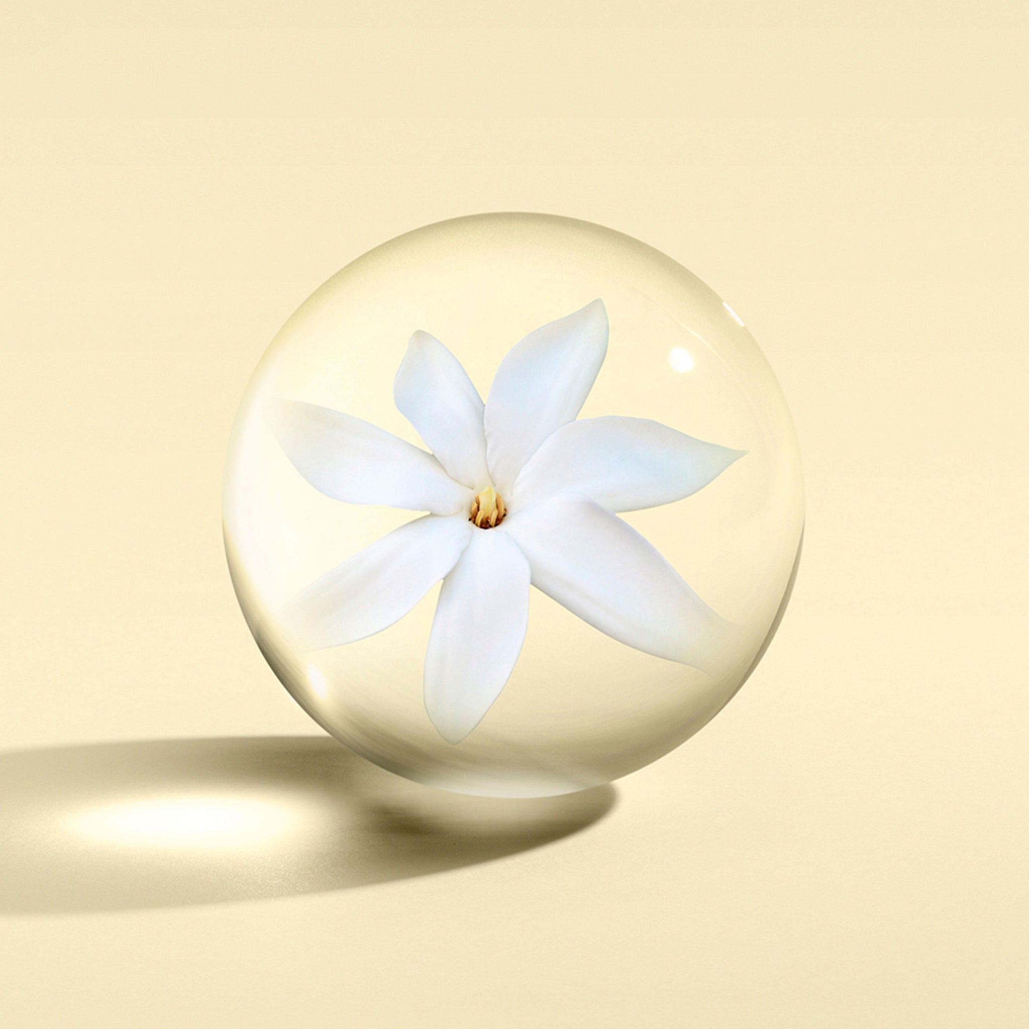 A delicate white Polynesian frangipani flower with multiple petals is encased in a clear glass sphere, which rests on a smooth, light beige surface. A soft shadow falls to the left of the sphere against a matching beige background. Featured is Molton Brown Cyprus's Flora Luminare Bath & Shower Gel 300ml.