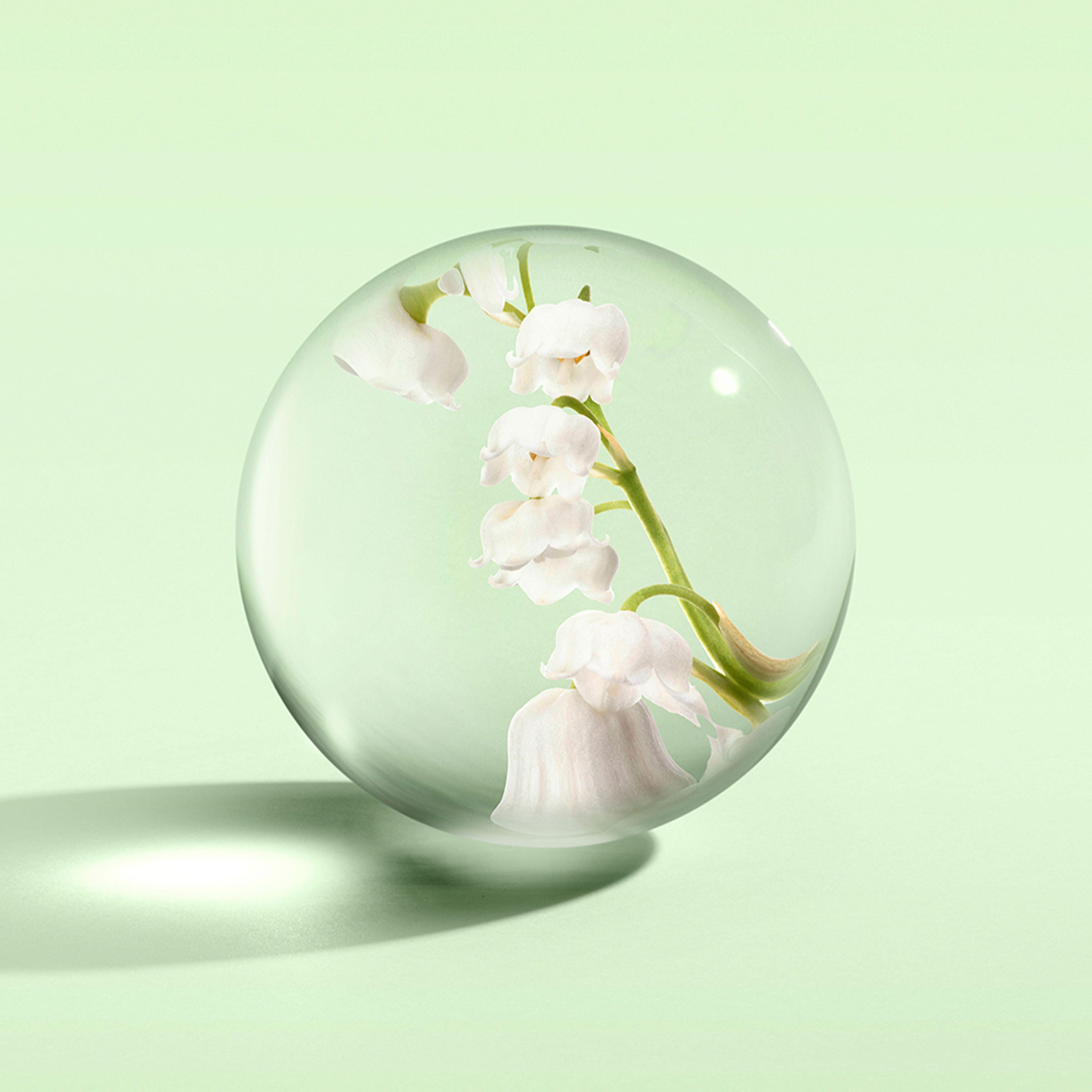 A delicate lily of the valley flower encased in a clear glass sphere on a soft green background evokes the luxury of MoltonBrown Cyprus's Lily & Magnolia Blossom Body Lotion 300ml, casting a subtle shadow on the surface.